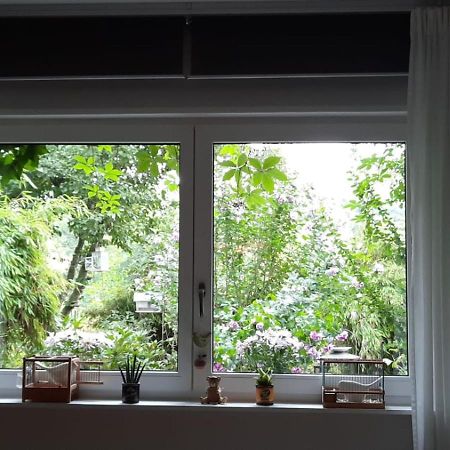 Ferienwohnung Hering In Dill 외부 사진