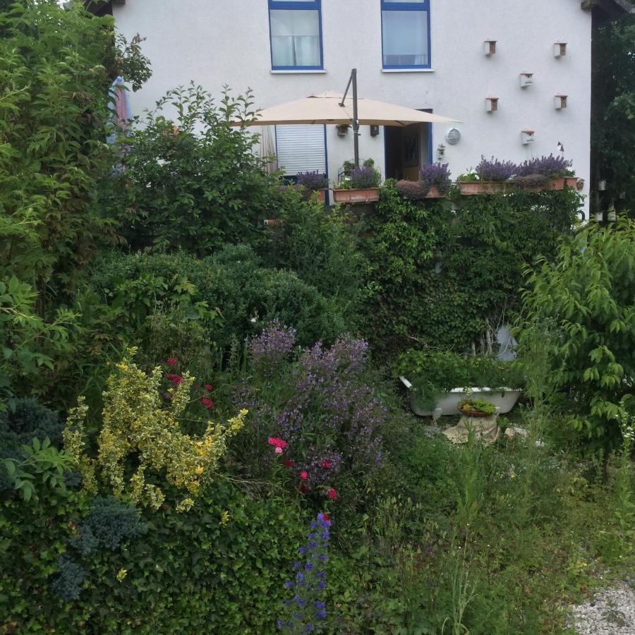 Ferienwohnung Hering In Dill 외부 사진