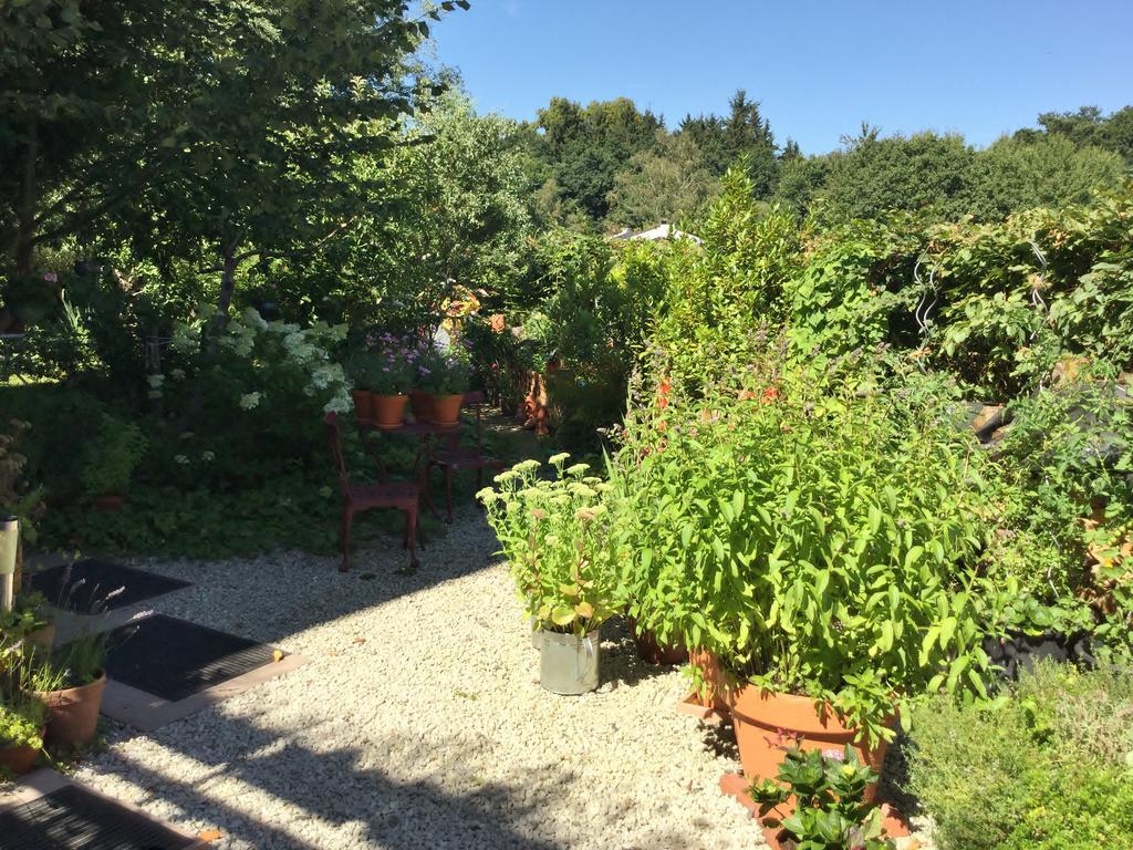 Ferienwohnung Hering In Dill 외부 사진