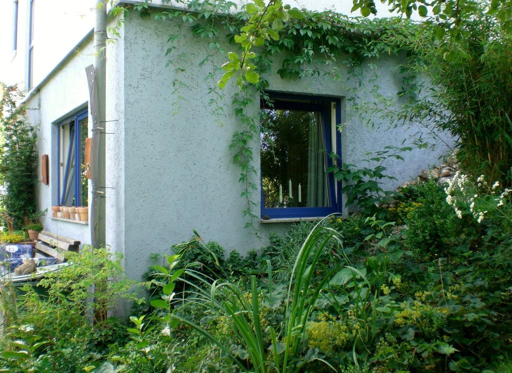 Ferienwohnung Hering In Dill 객실 사진