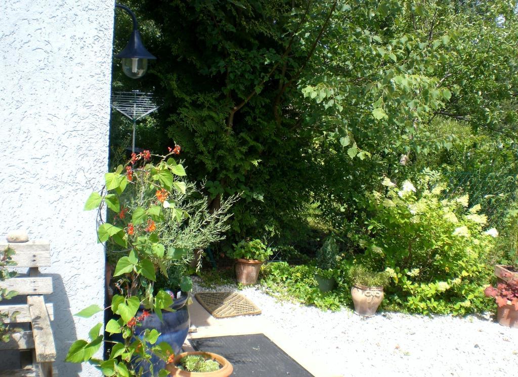Ferienwohnung Hering In Dill 객실 사진