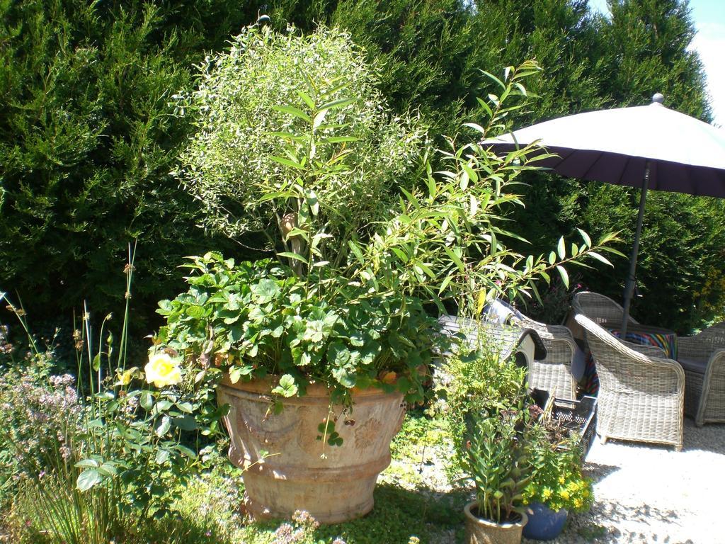 Ferienwohnung Hering In Dill 객실 사진