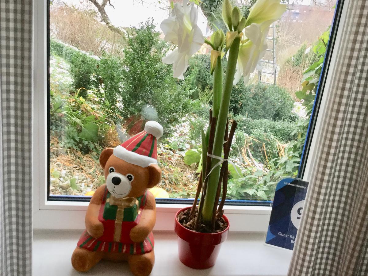 Ferienwohnung Hering In Dill 외부 사진